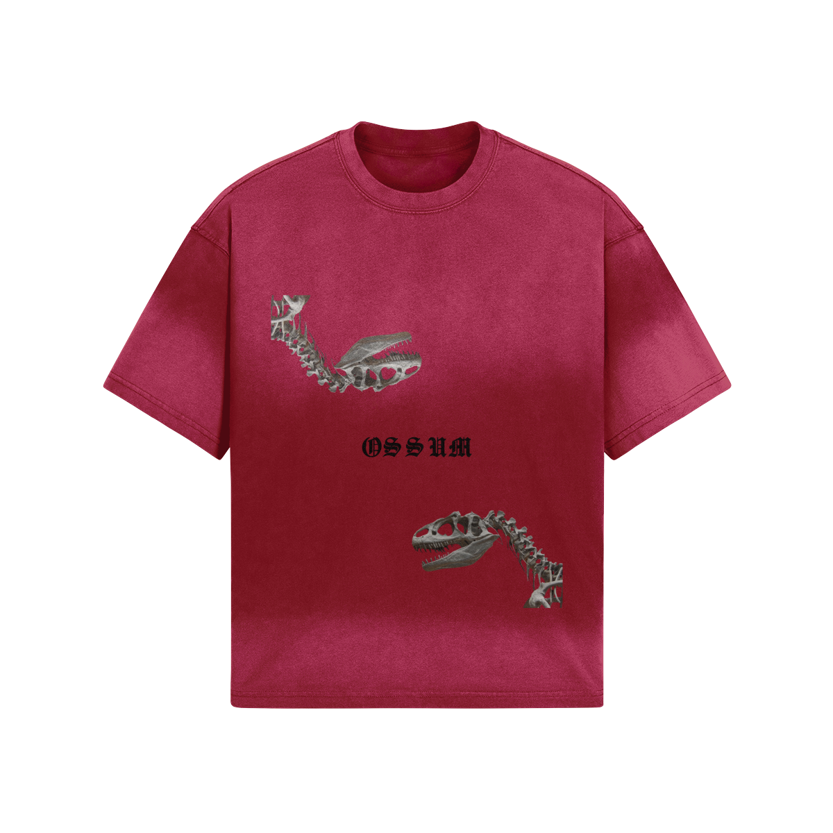 Ossum Dinosaurio